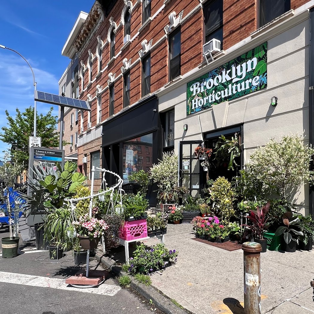 Brooklyn Horticulture 2