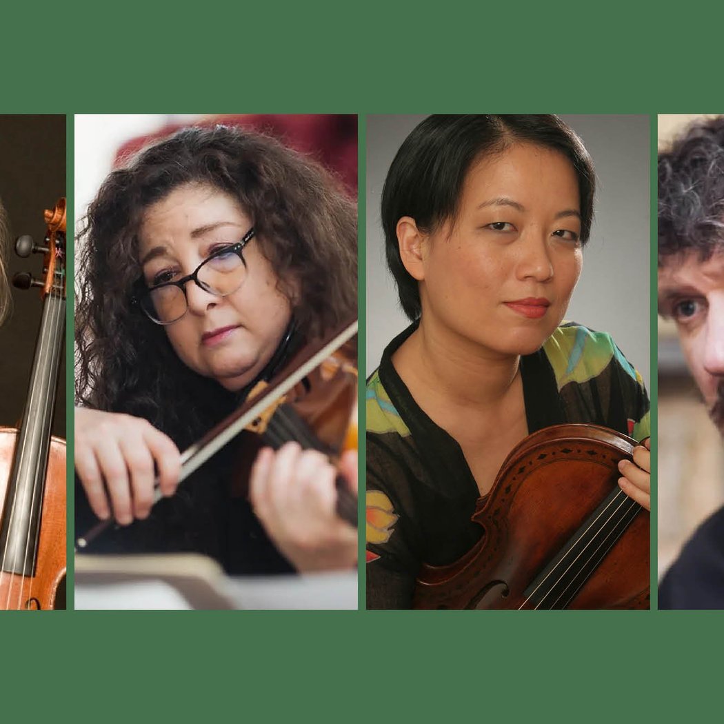 Dvorak: The Chamber Music Survey with Sullivan Quartet 1