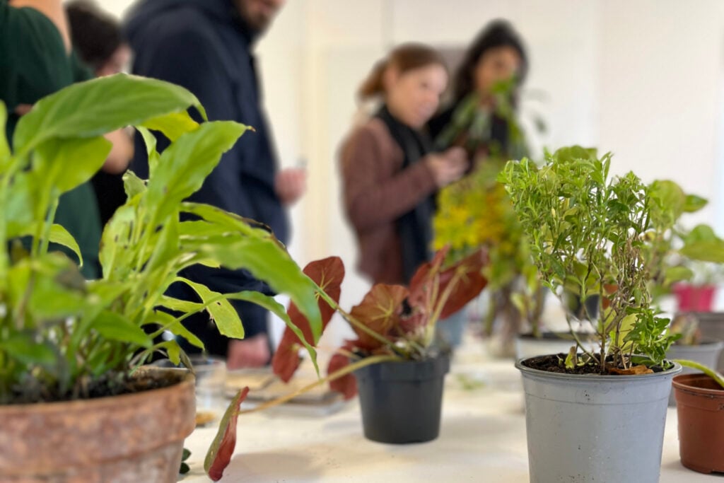 Échange de plantes 1