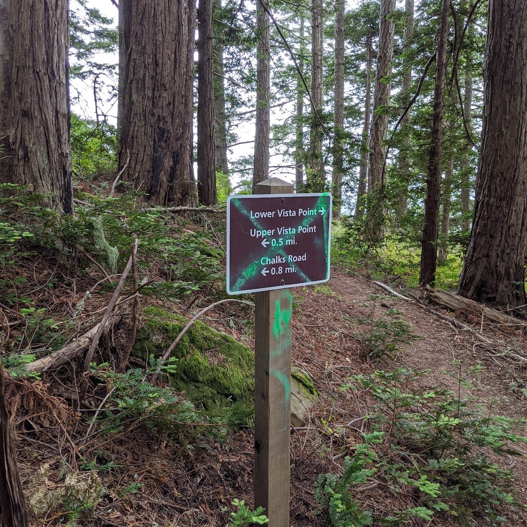 Berry Creek Falls Trail 3