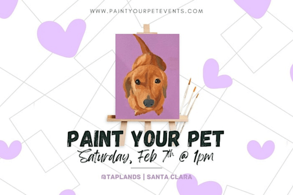 Paint Your Pet 1