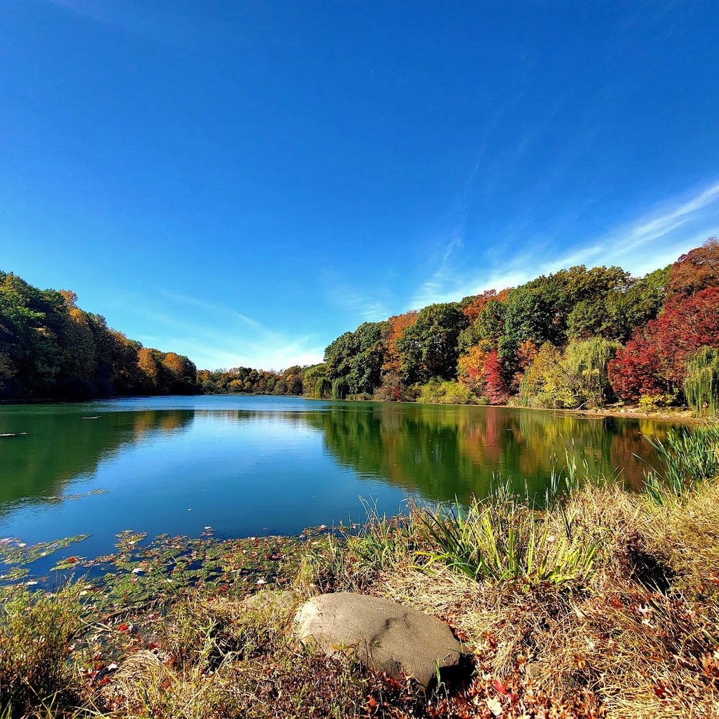 Oakland Lake 3