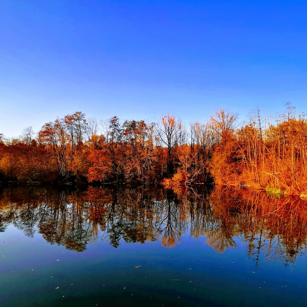 Parc des Iles 1