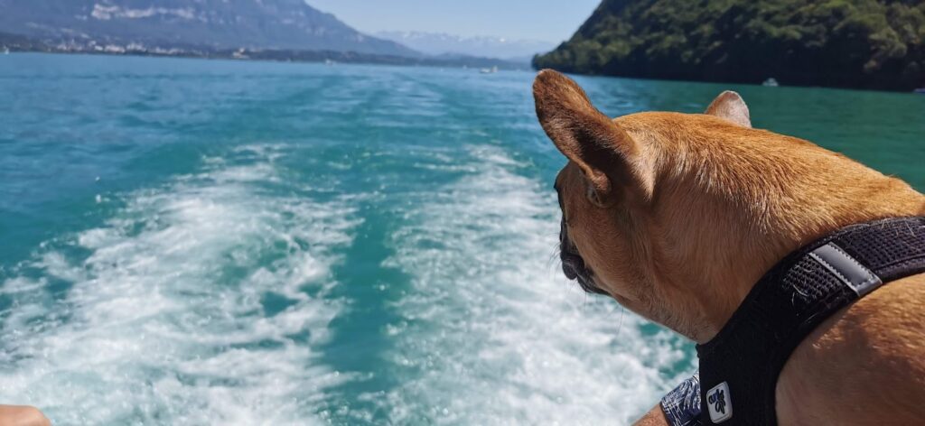 Lac du Bourget 3