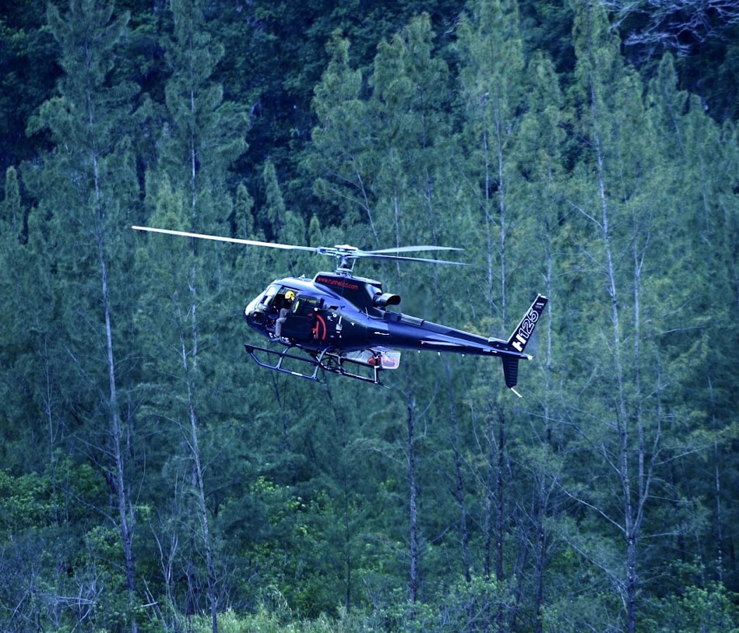RUN HELICO 3