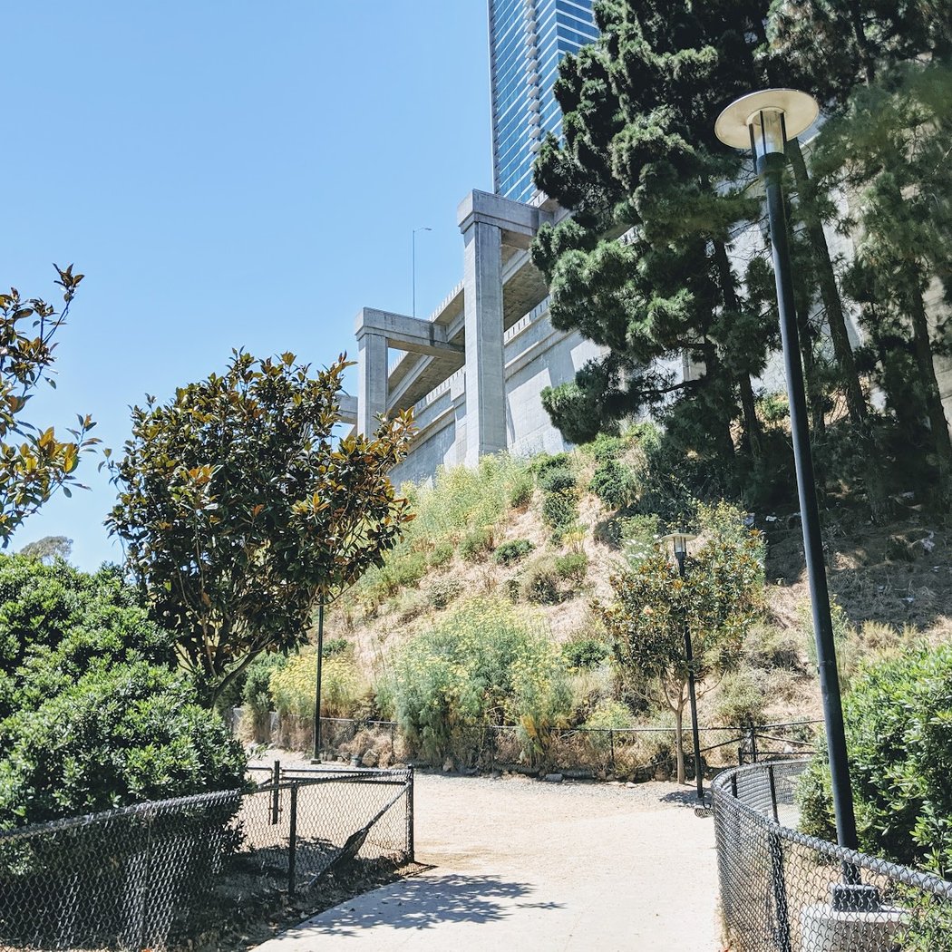 Rincon Hill Dog Park 2