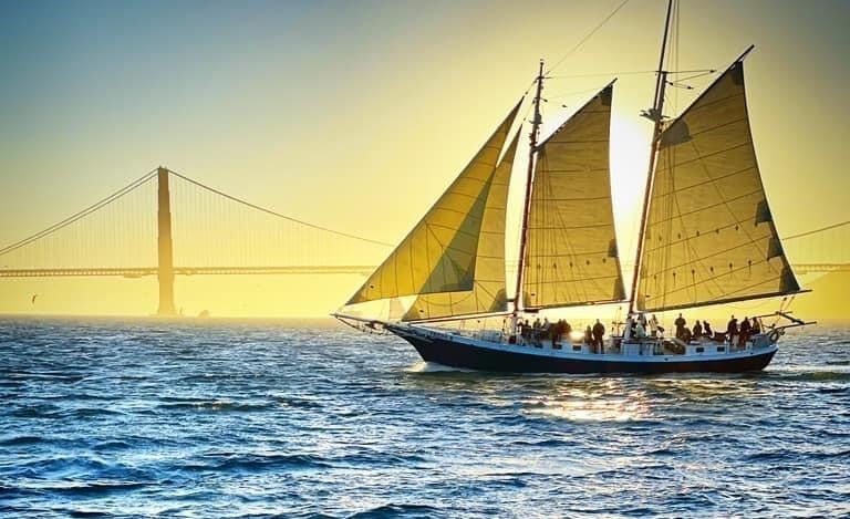 Wildlife Sail under the Golden Gate Bridge 1
