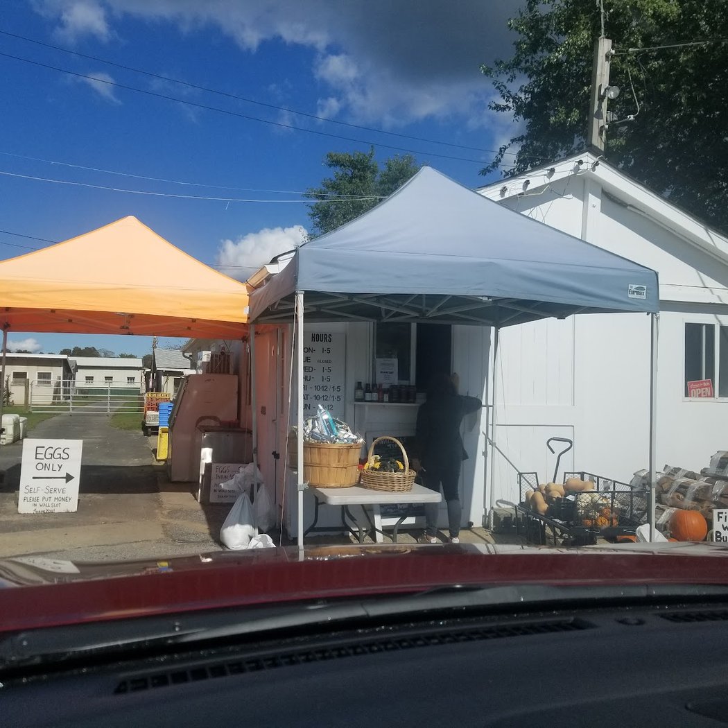Iacono Farm 3