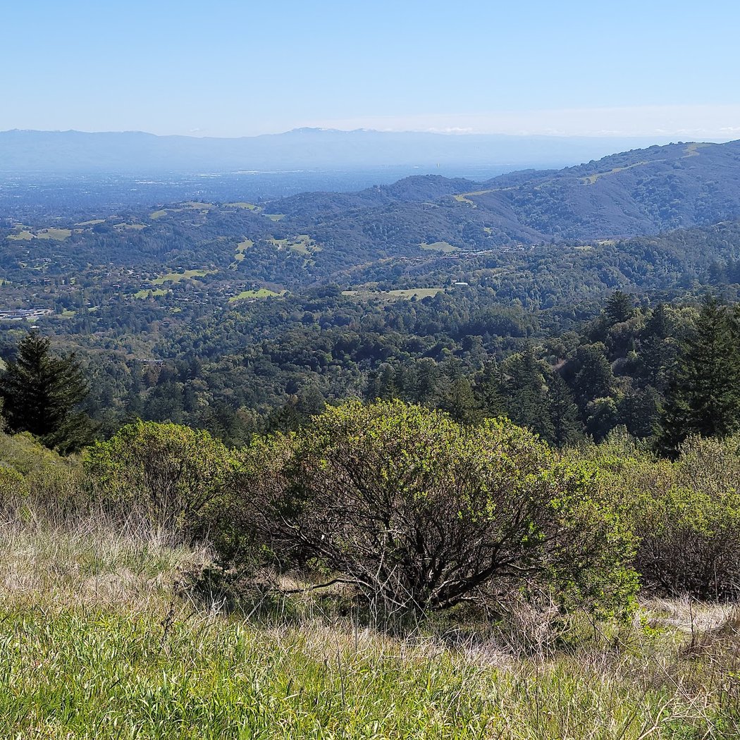 Alpine Trail (Trailhead) 3