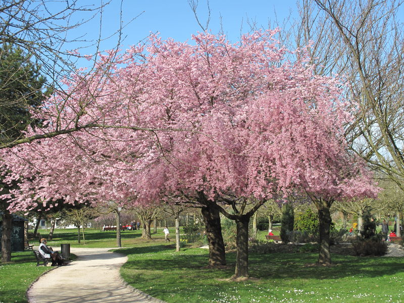 Parc du Vieux Moulin 1