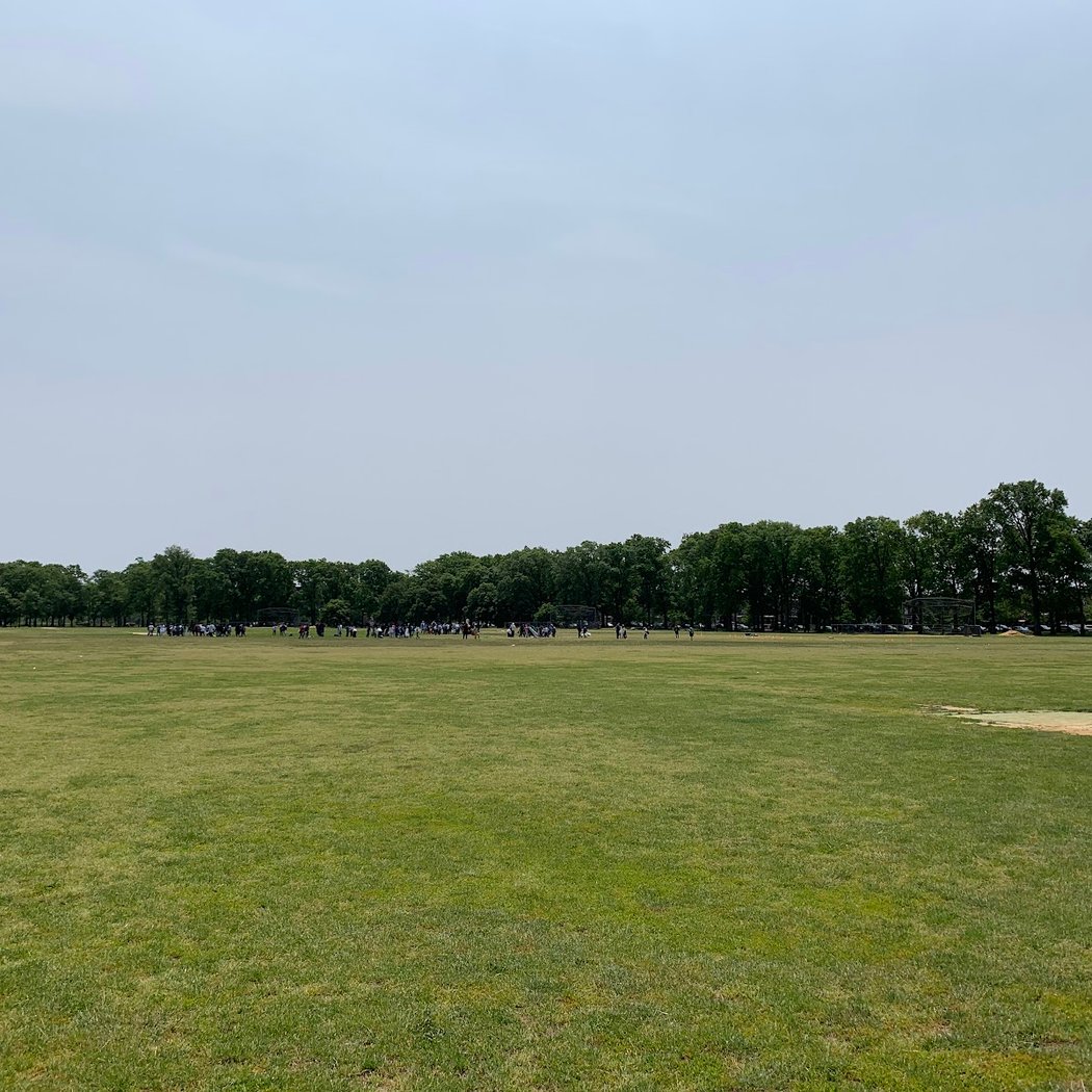 Marine Park Cricket Field 2