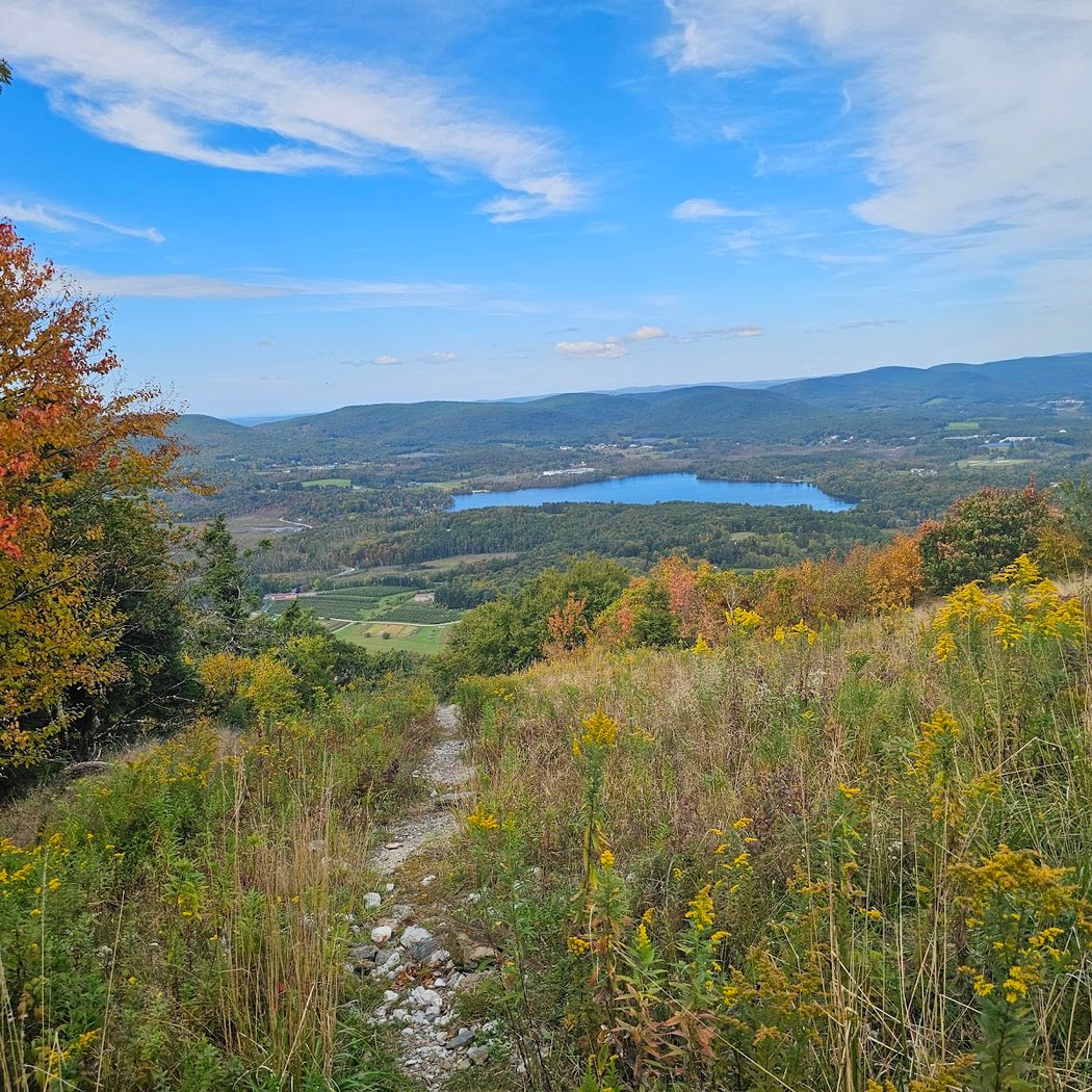 Thankful for Beavers Hike 4