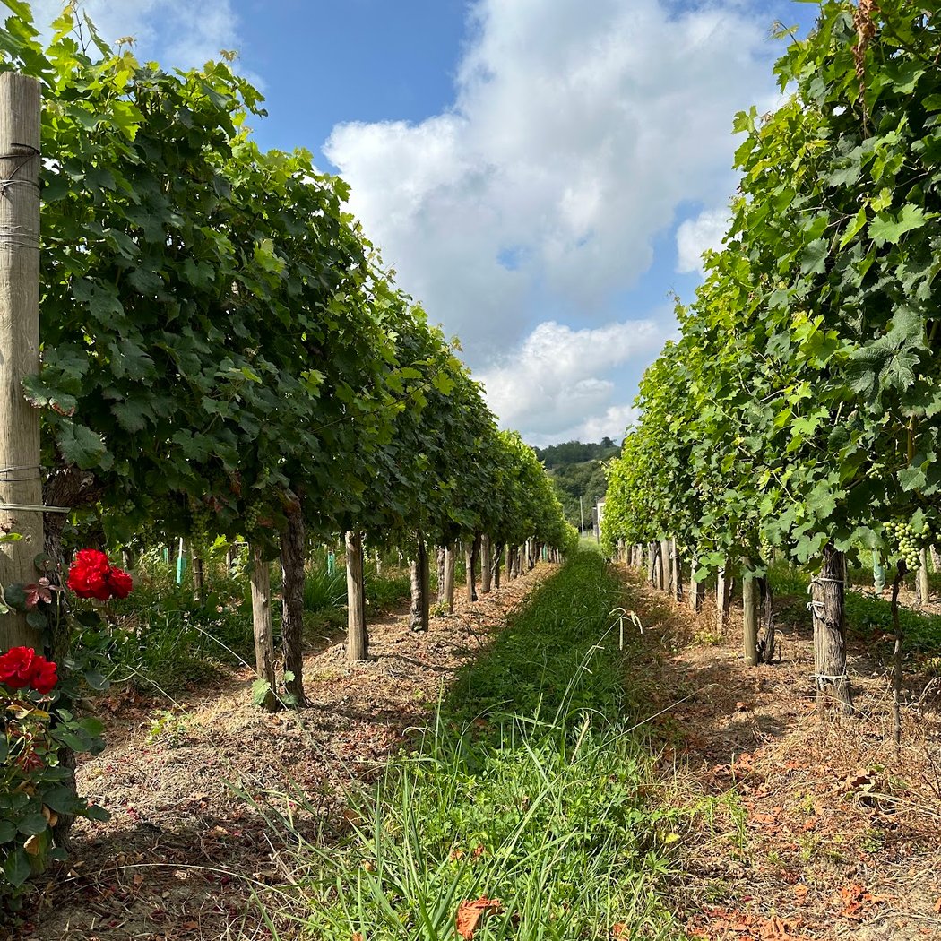 Domaine Lapeyre Guilhemas 2