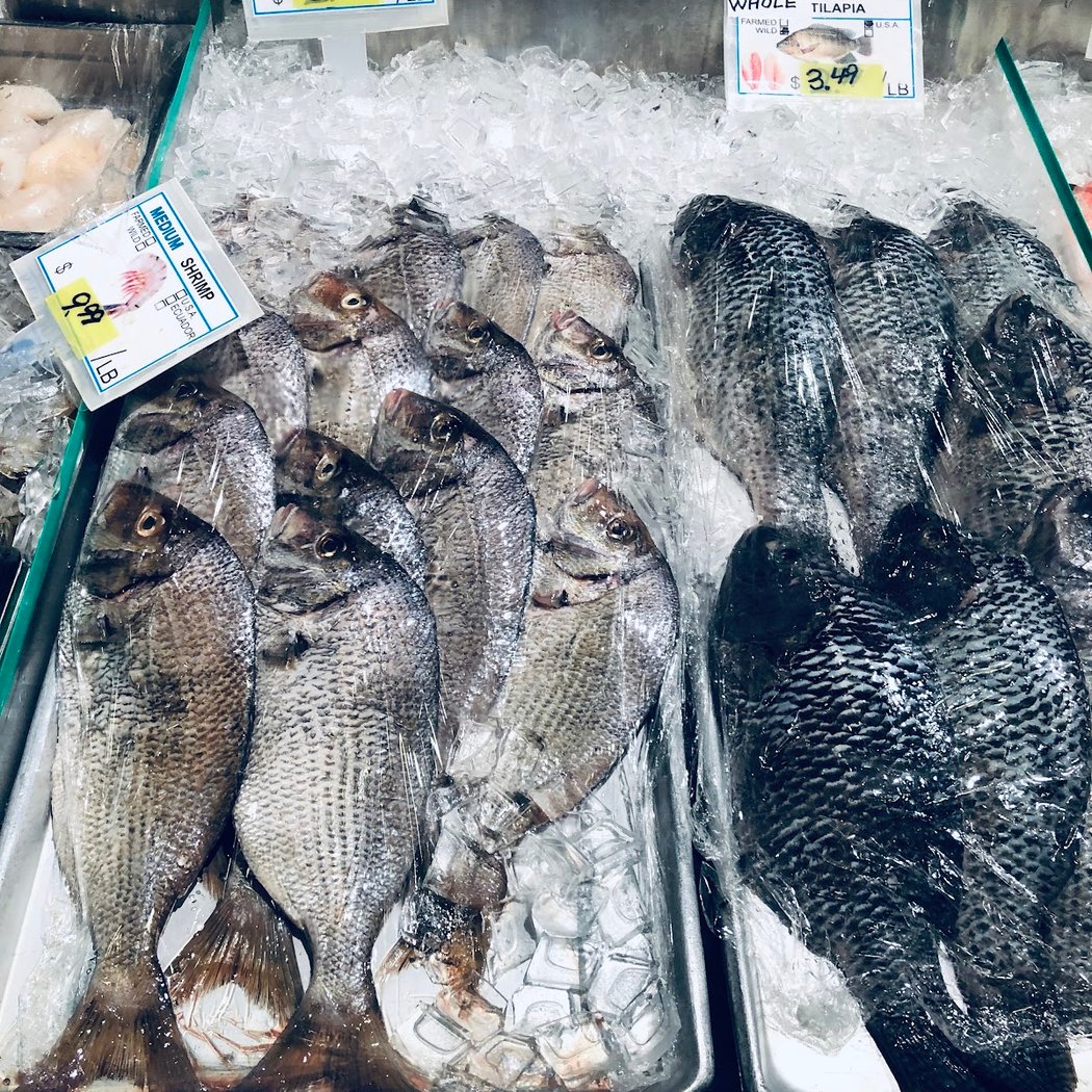 New Star Fish Market 3