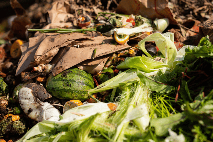 Info Session: Community Composting for Green Spaces - Cycle 5 2