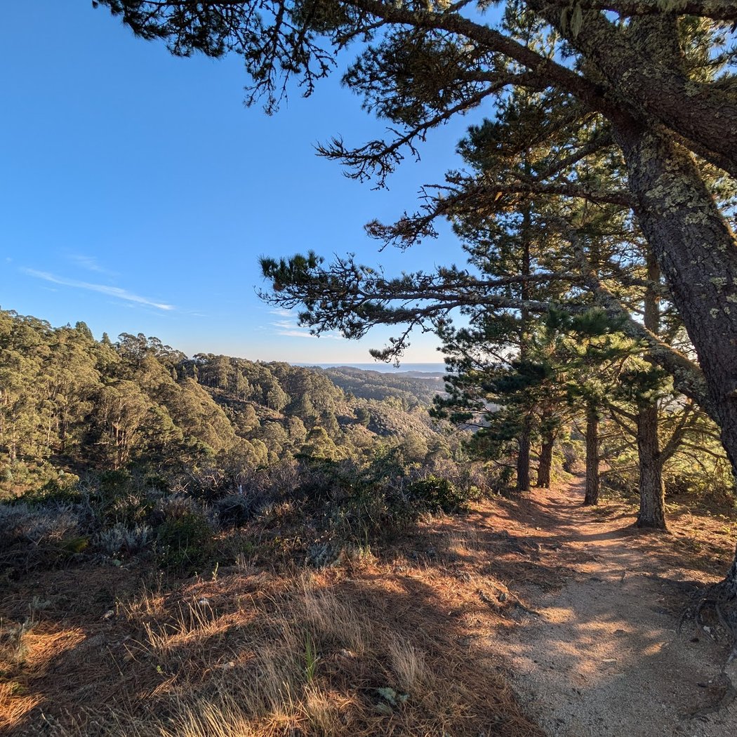 Montara Mountain - North Peak 1