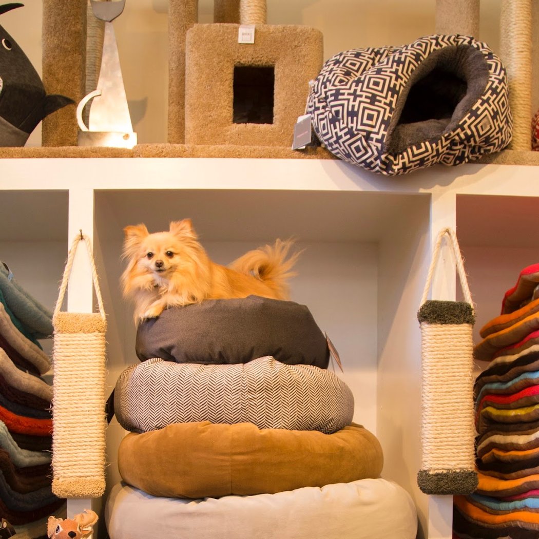 Noe Valley Pet Company 1