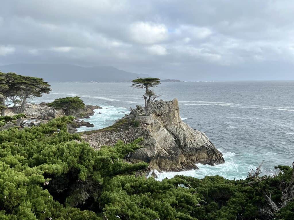 17 Mile Drive 5