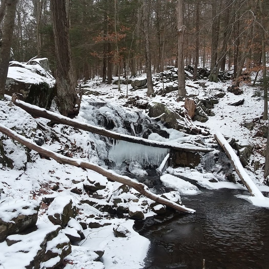 Michael Ciaiola Conservation Area (Parking) 1