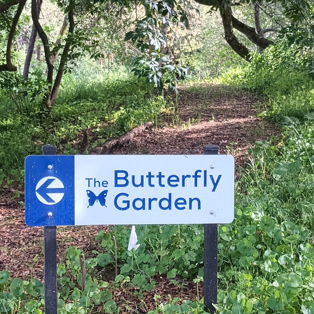 Sonoma State University Butterfly Garden 1