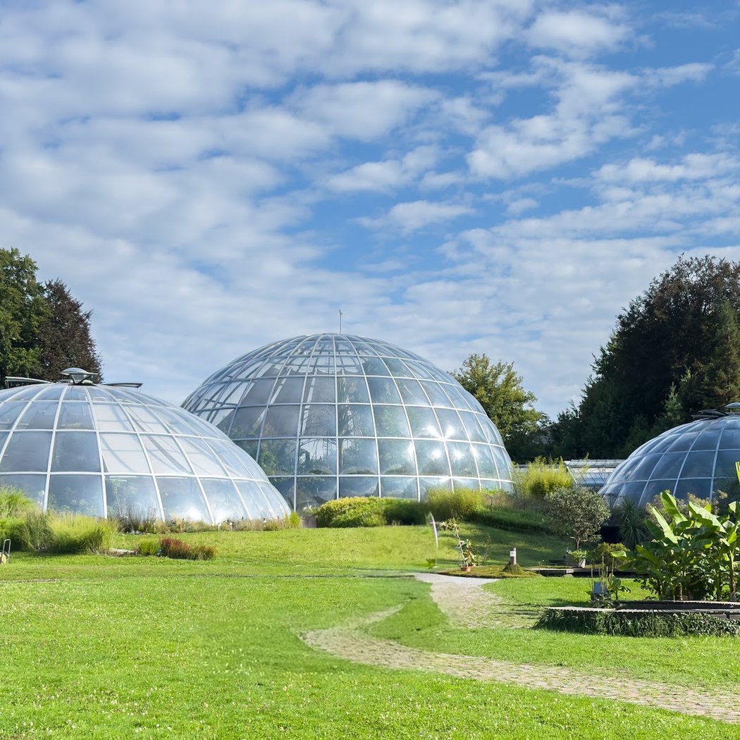 About the special exhibition Plants as Medicine – Diversity in Switzerland
