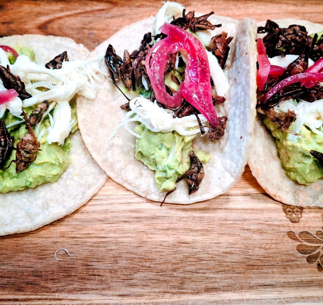 Taqueria El Zocalo 3