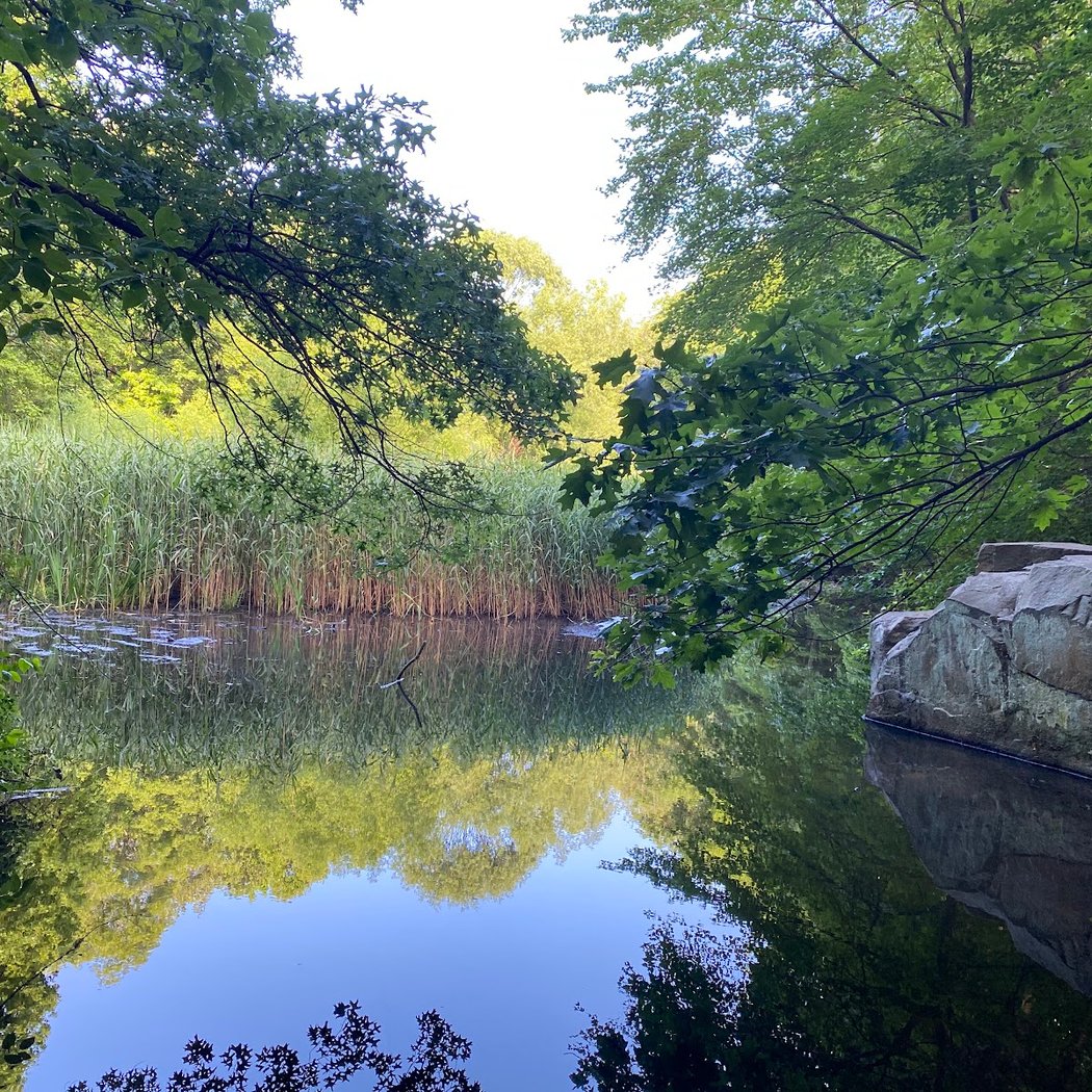 Flat Rock Brook Nature Center 1