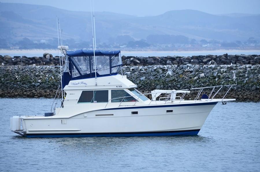 Mooch Better Fishing - Sport Fishing Charter 2