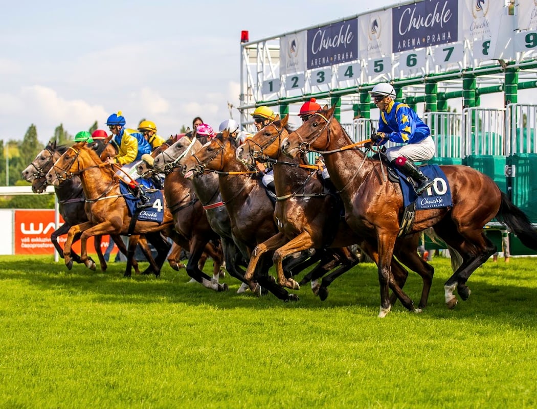 105th President Stakes 1