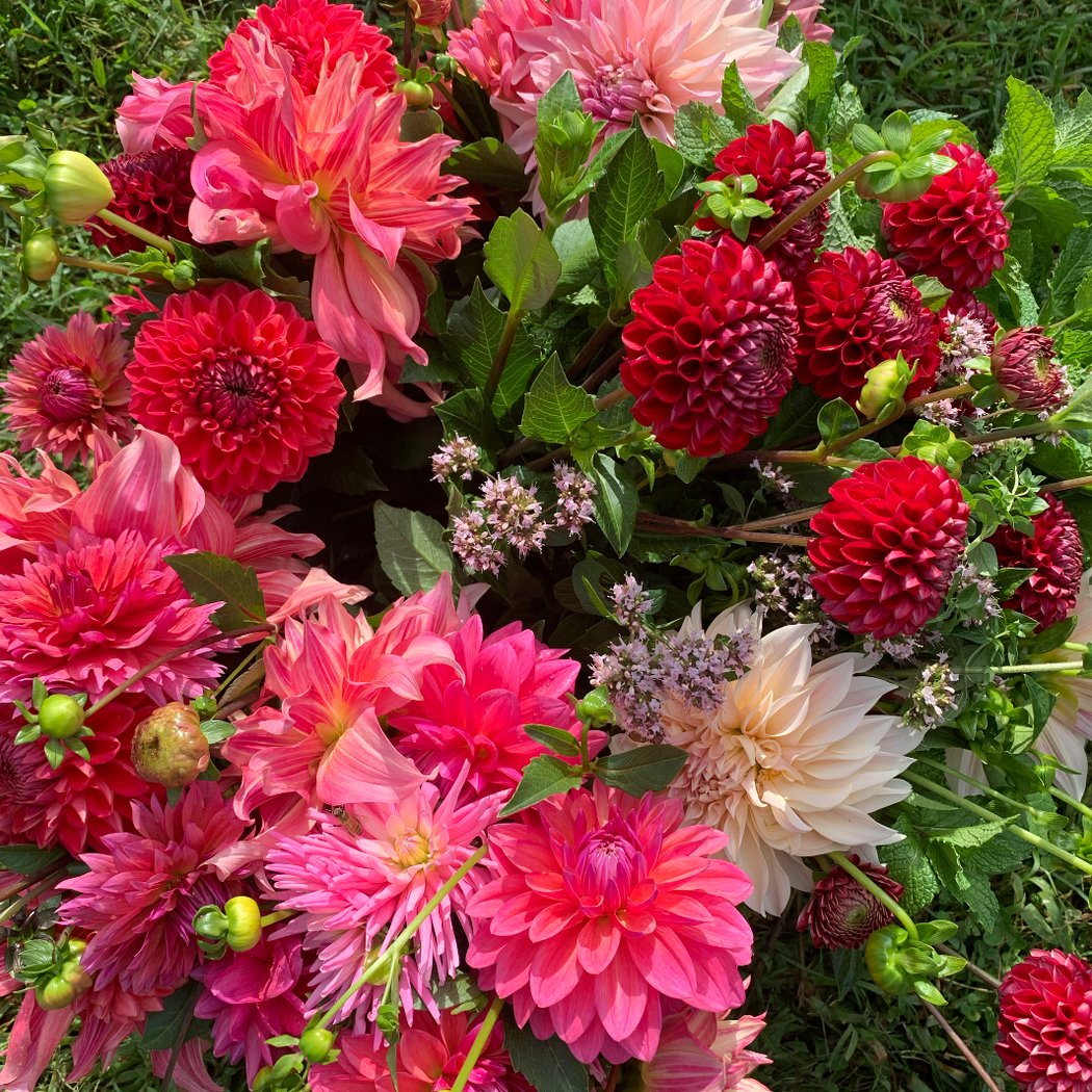 THE FLOWERHOUSE 10547 1