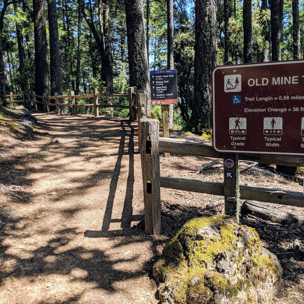 Pantoll Campground 2