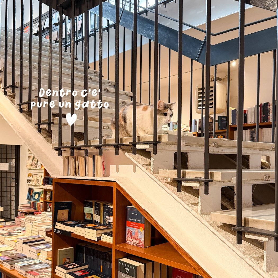Spazio Sette Libreria 1