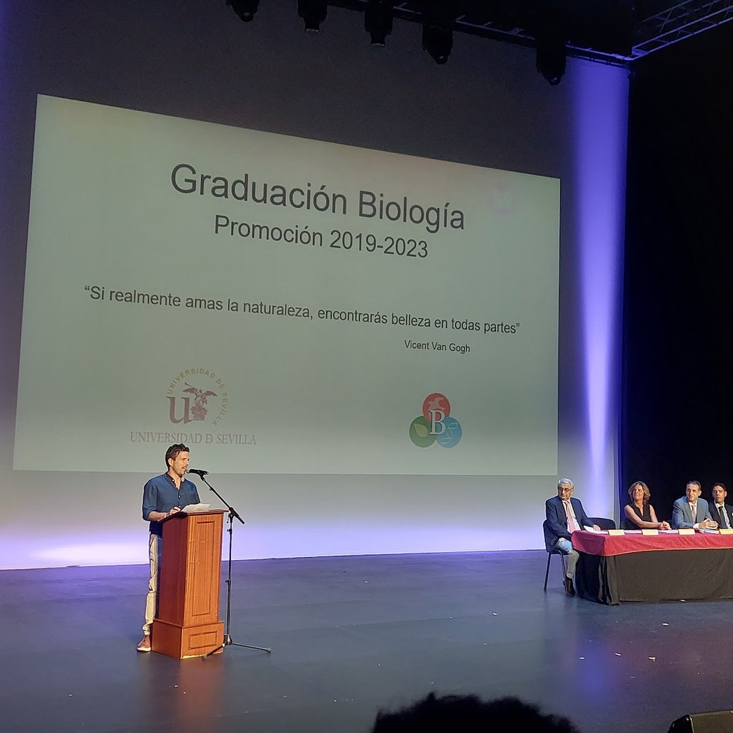 Programación Auditorio Cartuja 2026 2