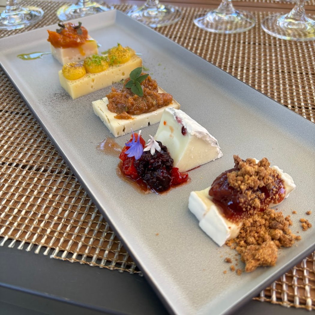 Harvest Tour and Wine Reception 1
