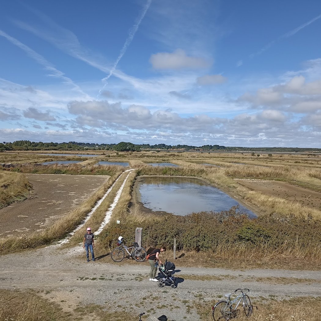 Marais Salants du Mès 2