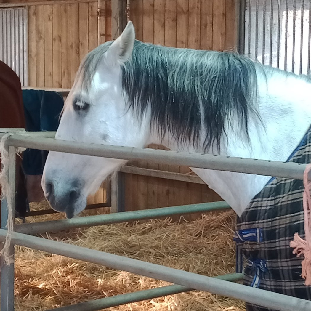 Poney’lib 2