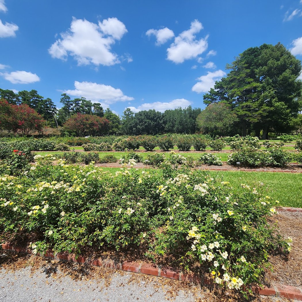 LSU AgCenter Botanic Gardens 1