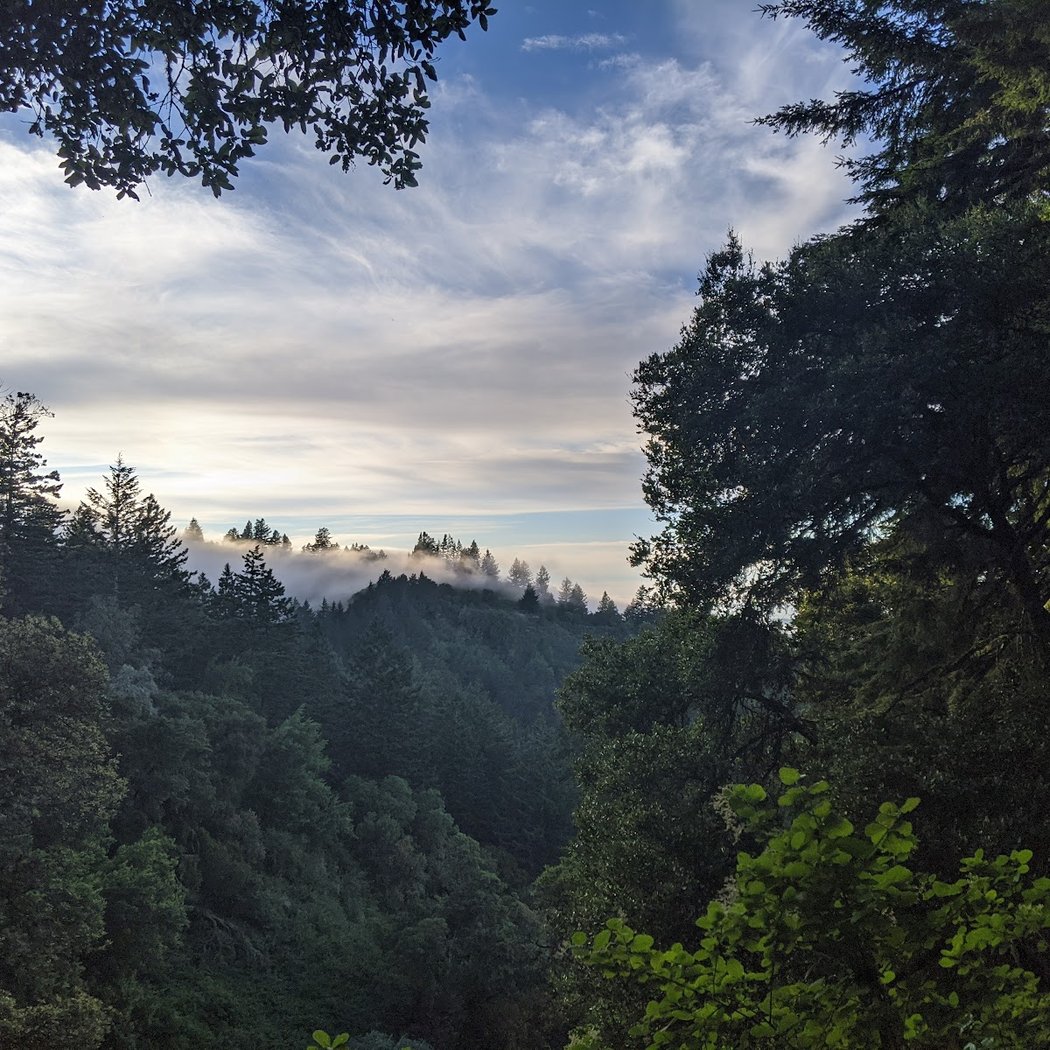 Razorback Ridge Trail 1