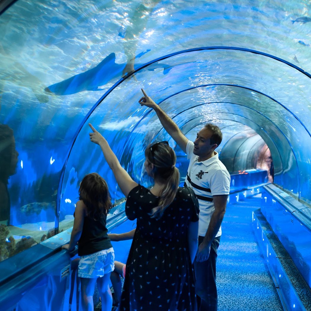 Marineland 2