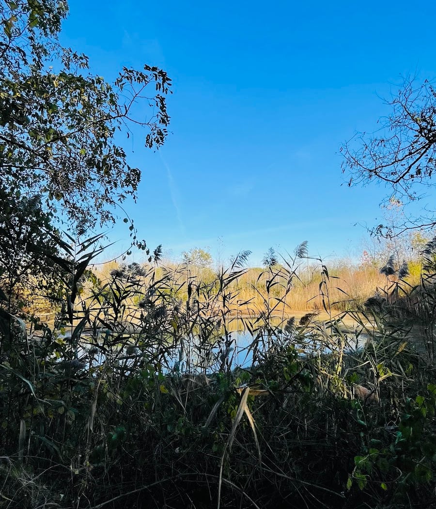 Canarsie Bike Walk 2