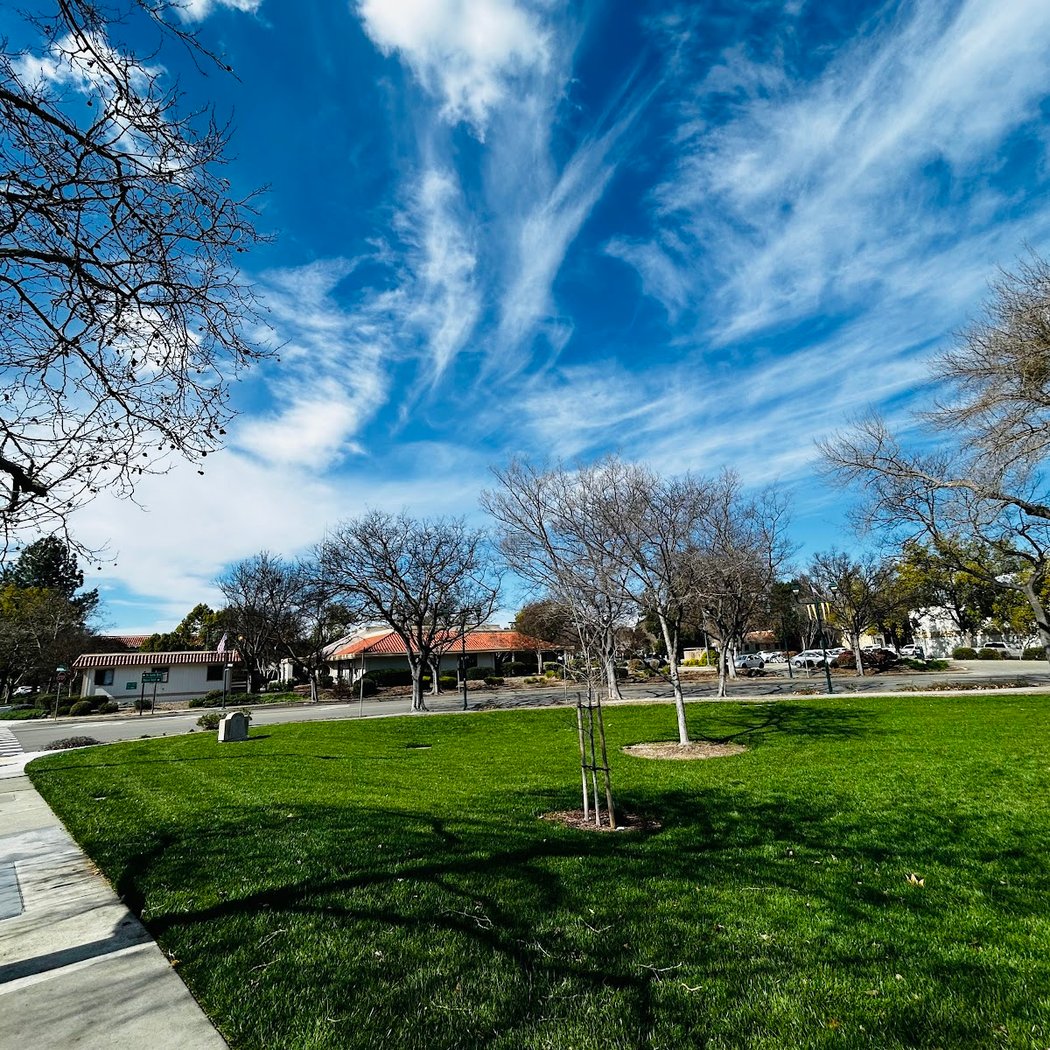 Downtown Pleasanton 3