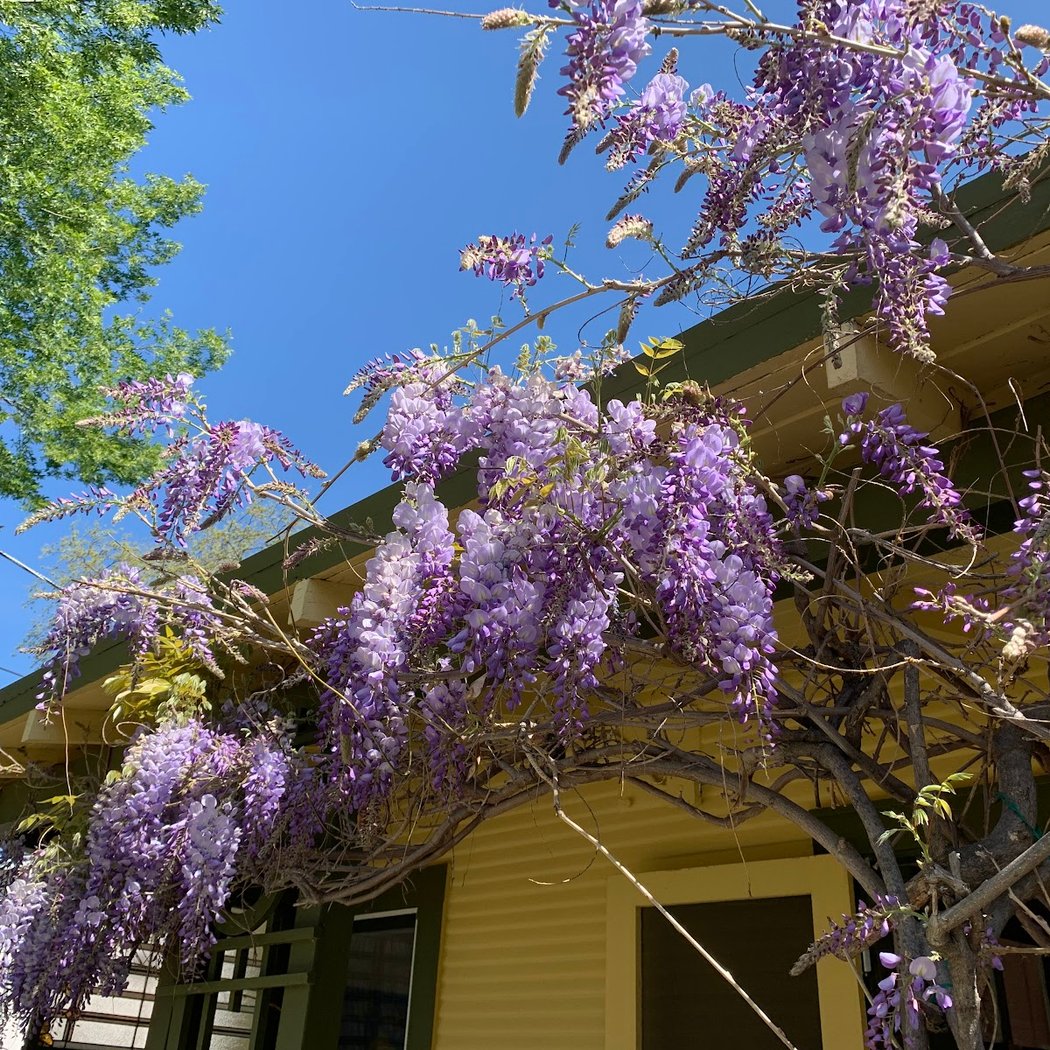 aRt Cottage 2