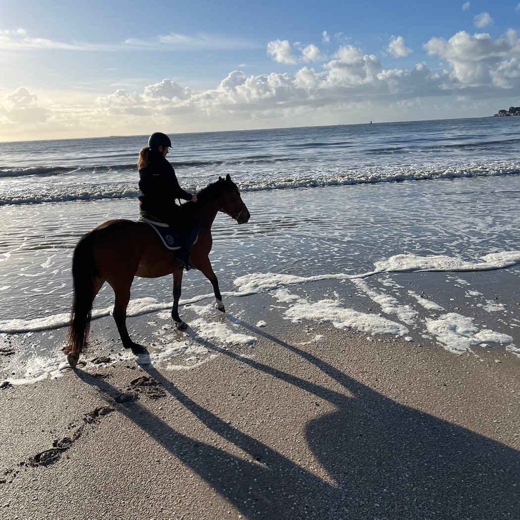 Stages d'équitation (double poney) 3