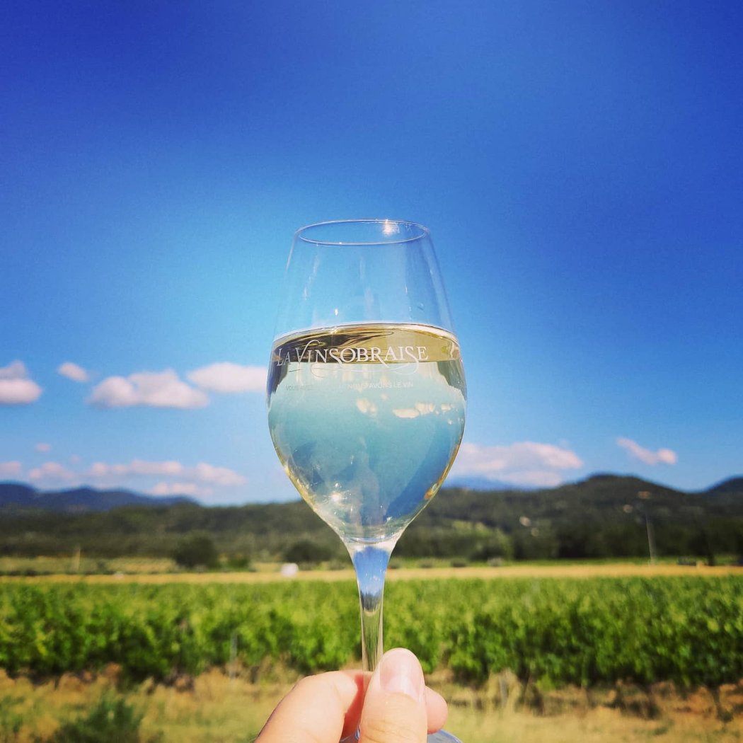 Cave coopérative La Vinsobraise 3