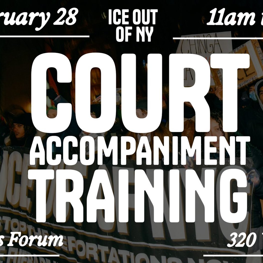 ICE Out of New York: Court Accompaniment Training 1