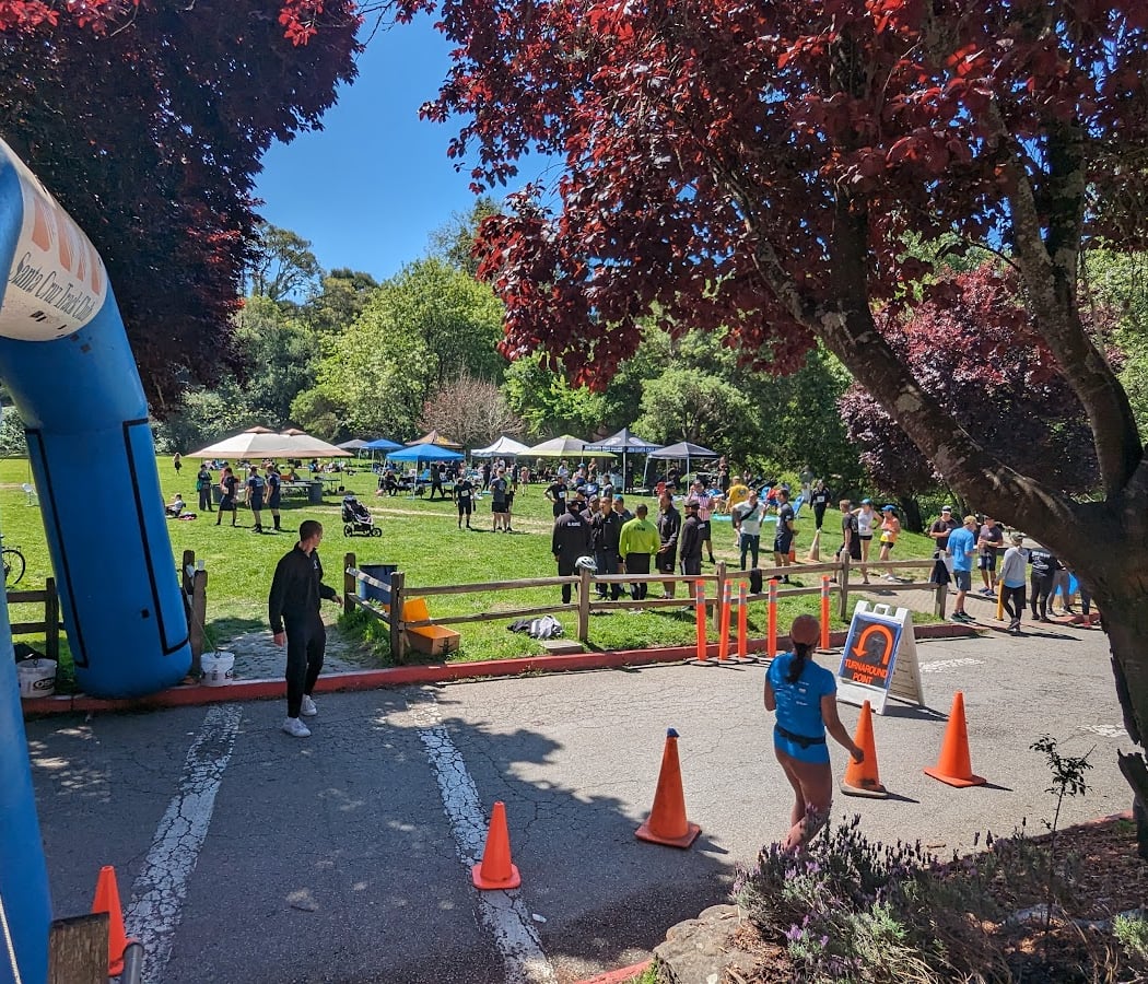 Party in the Park 3