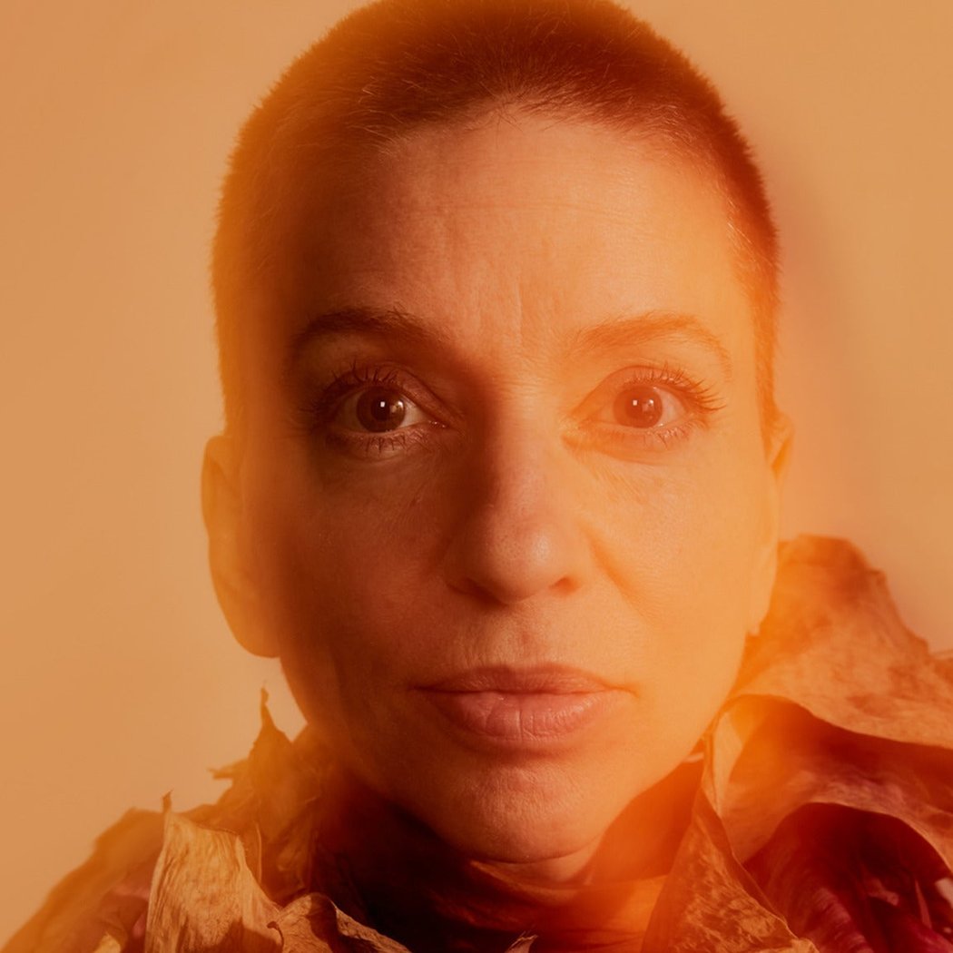 Ani DiFranco 1