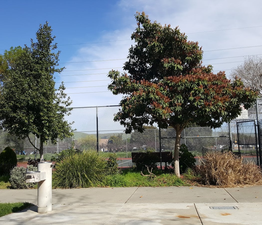 George Page Park 3