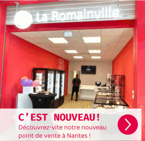 Nouveau Magasin La Romainville 1