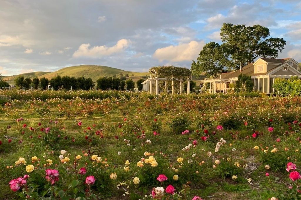 Garden Valley Ranch 1